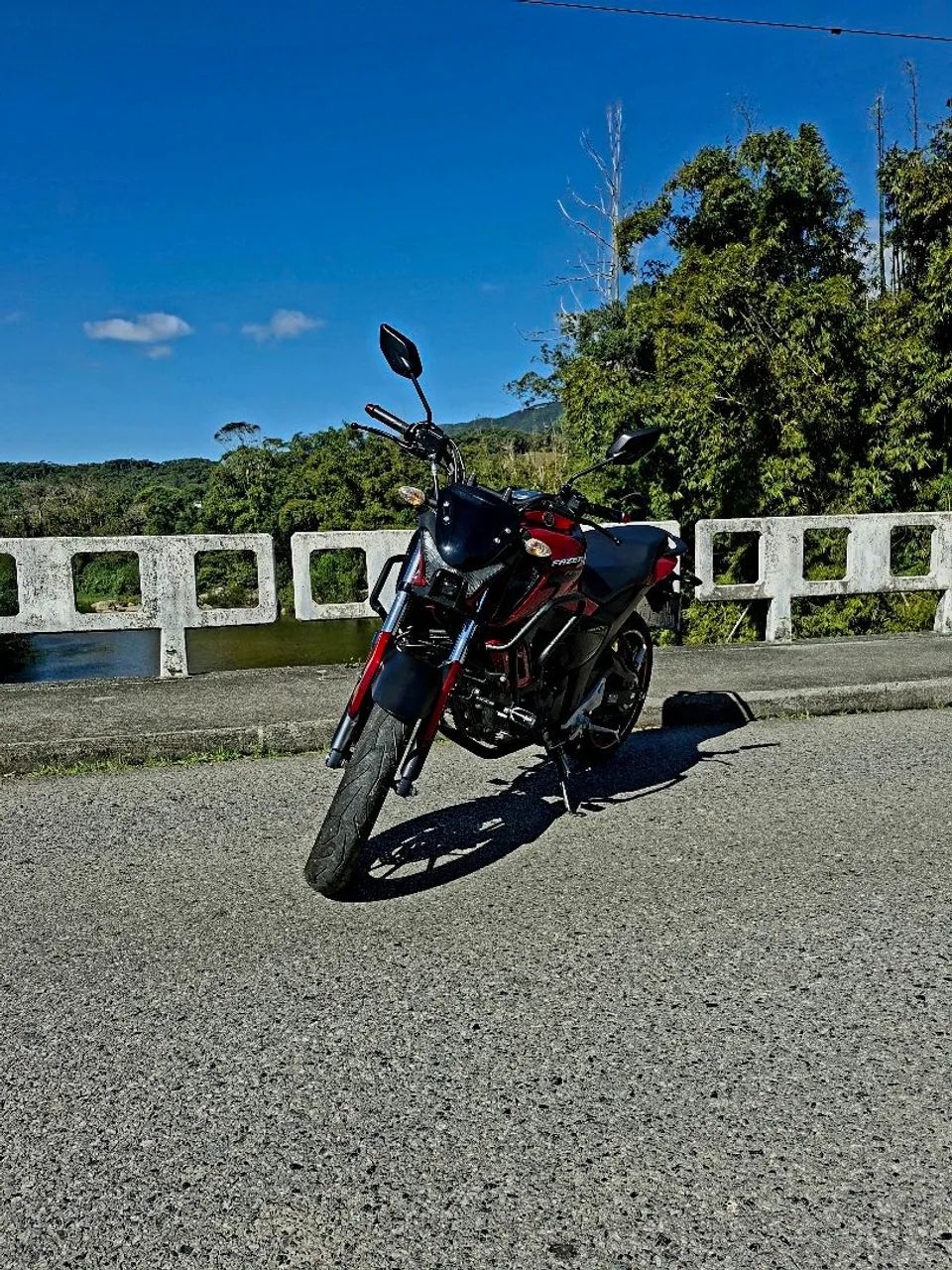 Fz15 2024