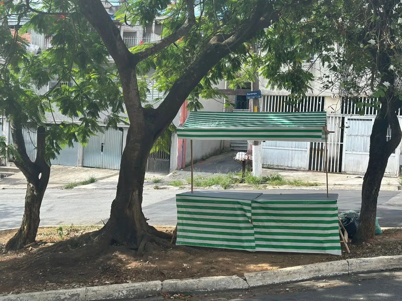 Banca feira 