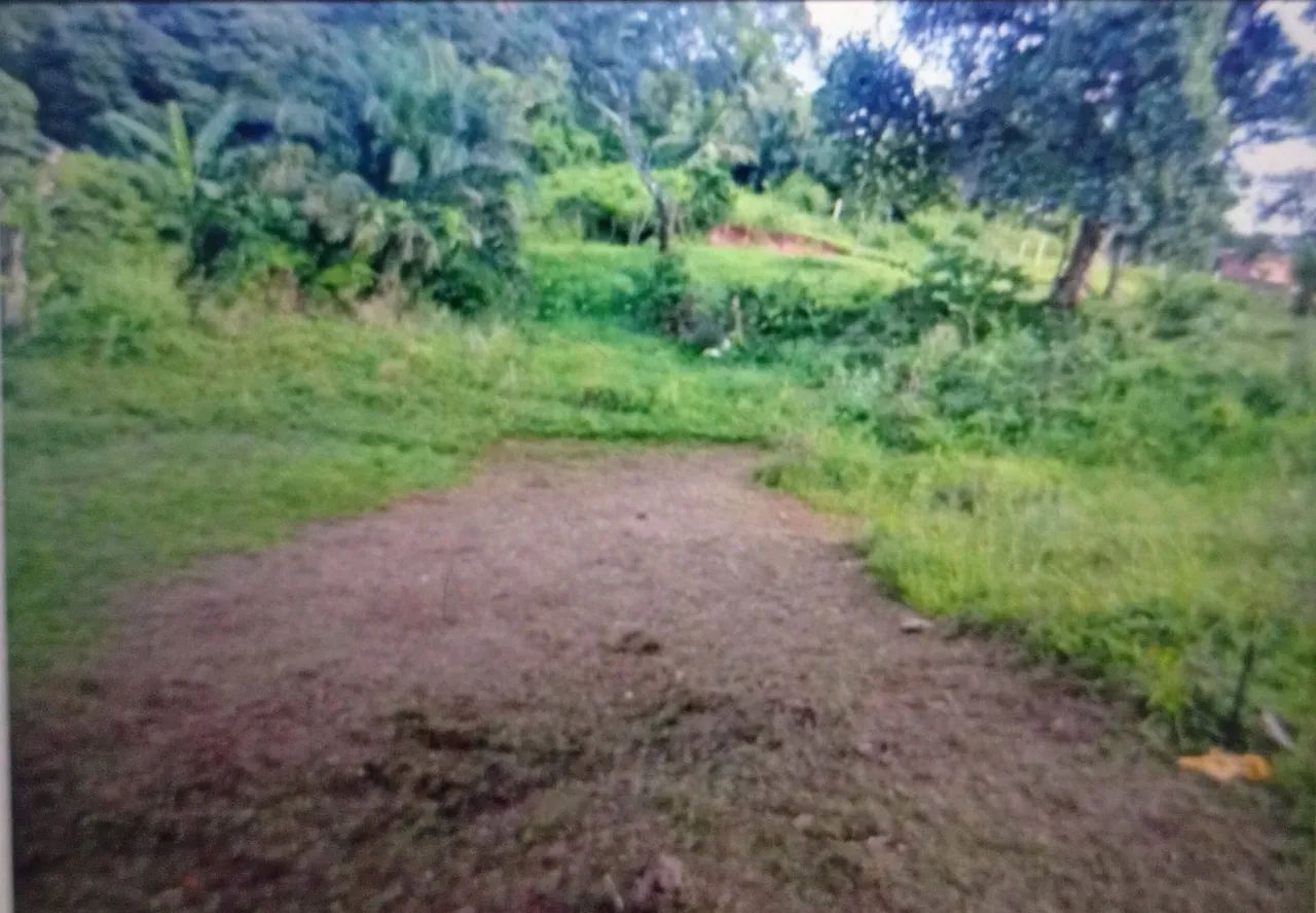 Terreno barato em Paripe  - Foto 2