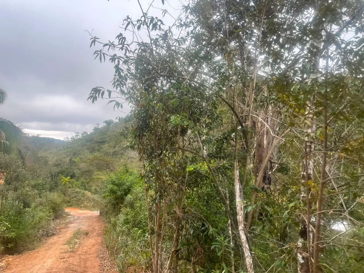 Chacrinha Santa Leopoldina  - Foto 4