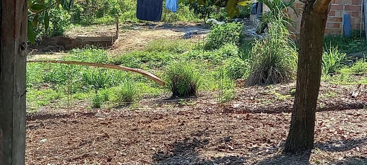 Sitio - Foto 4