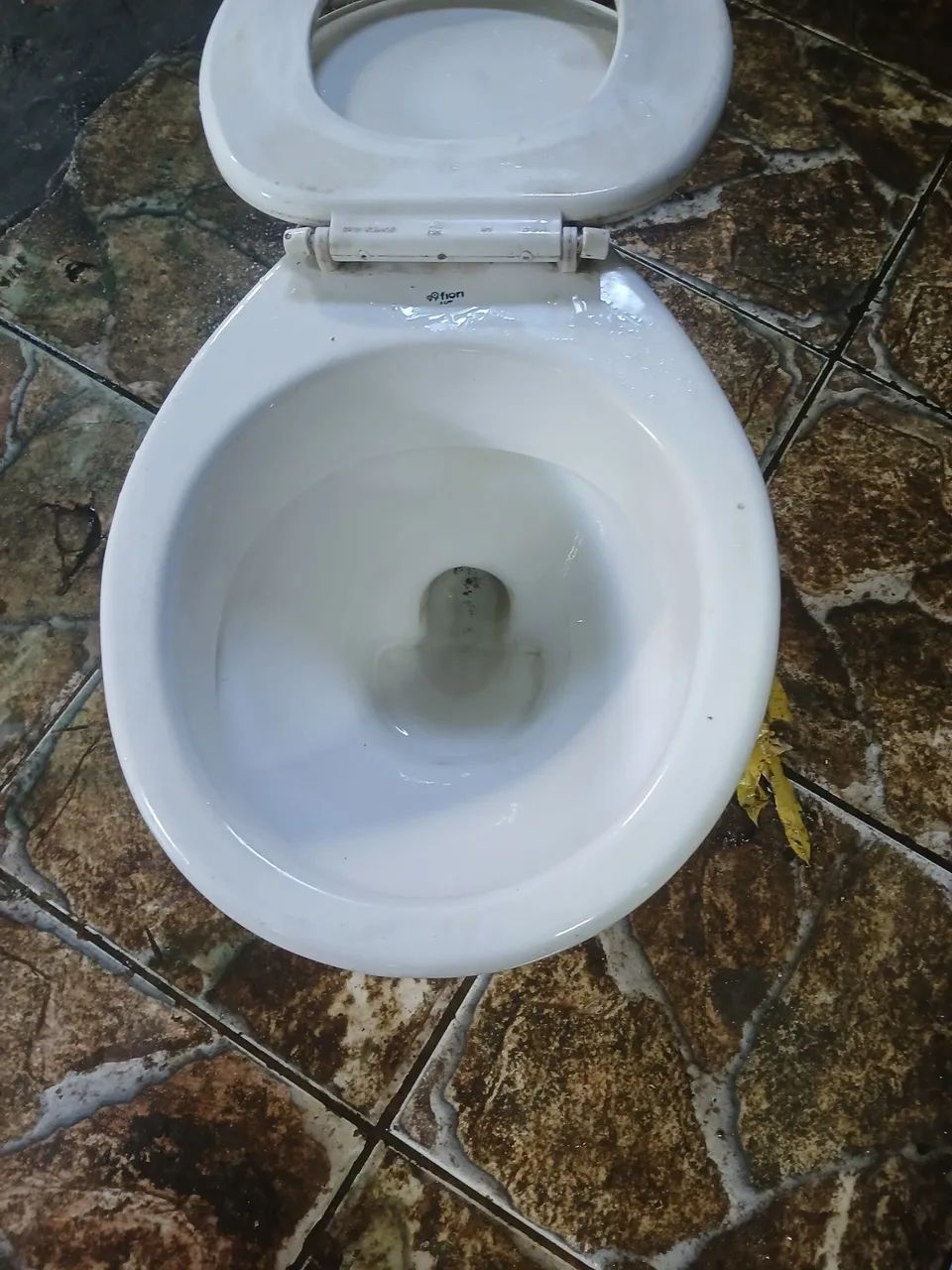 Vaso sanitário fiori - Foto 3