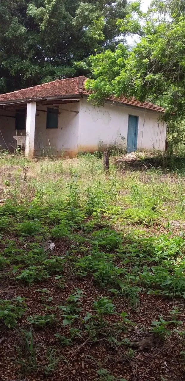 Sitio a venda Angatuba-Sp - Foto 2
