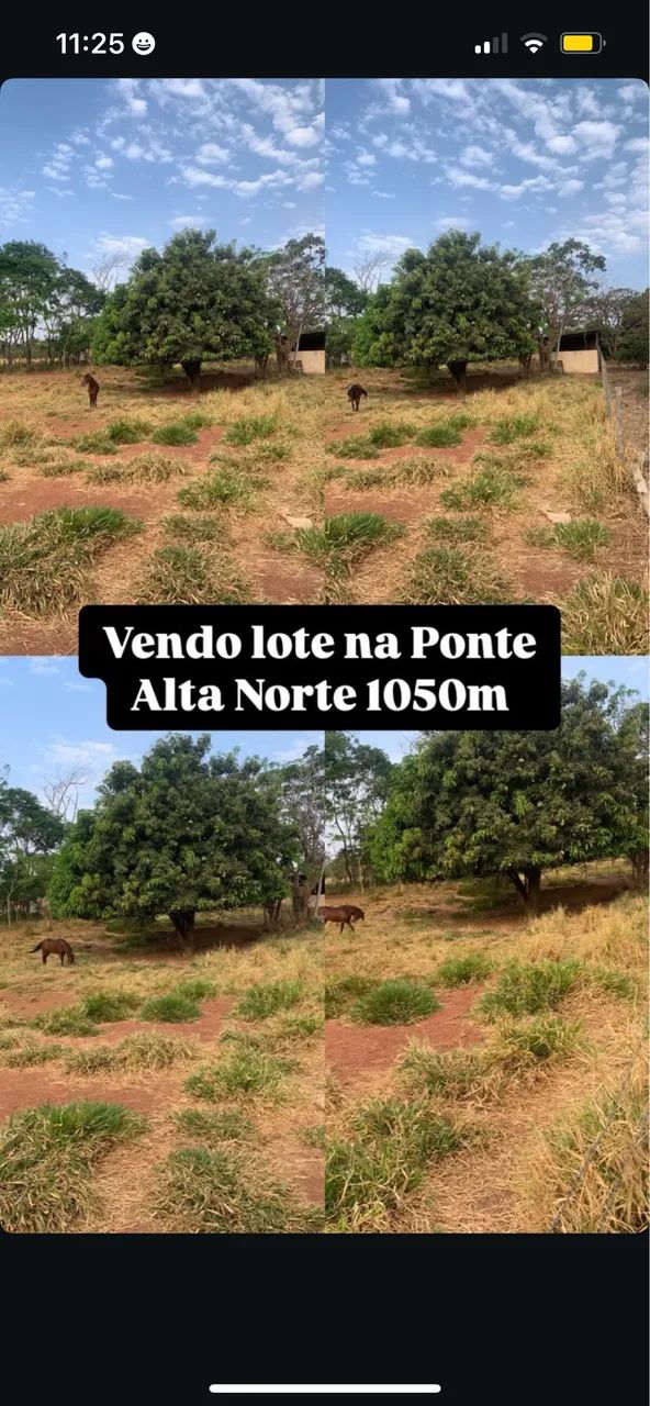 Foto - Brasília - Ponte Alta Norte (Gama)