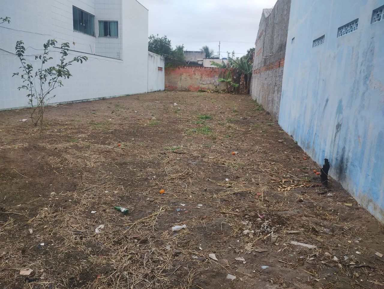 Vendo Terreno Bairro Piteiras - Foto 4