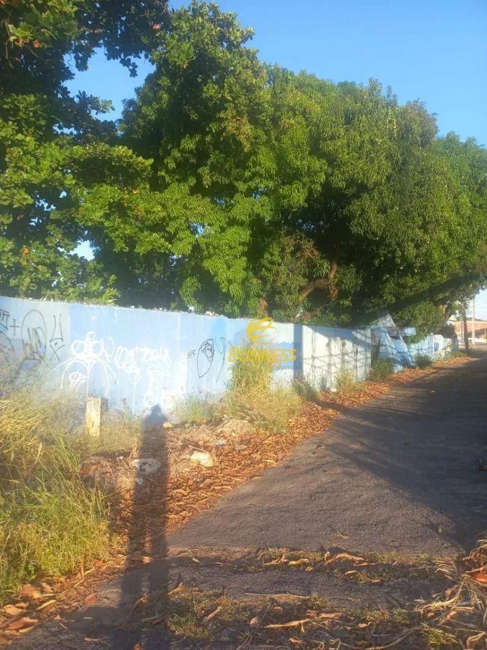 Terreno na Br 116 - Foto 4