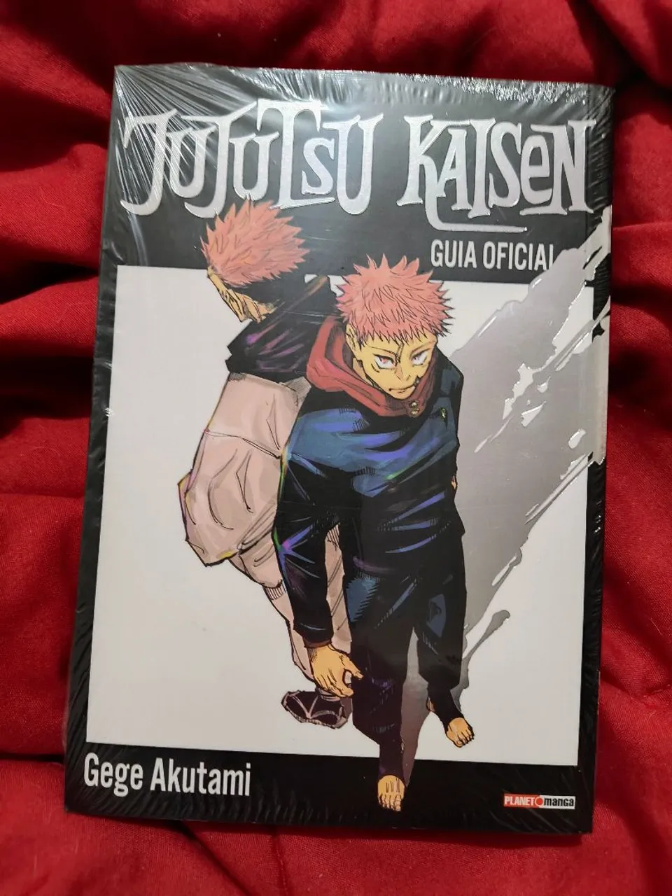 SPY X FAMILY (Mangá) - Vol. 1 ao 11 - Livros e revistas