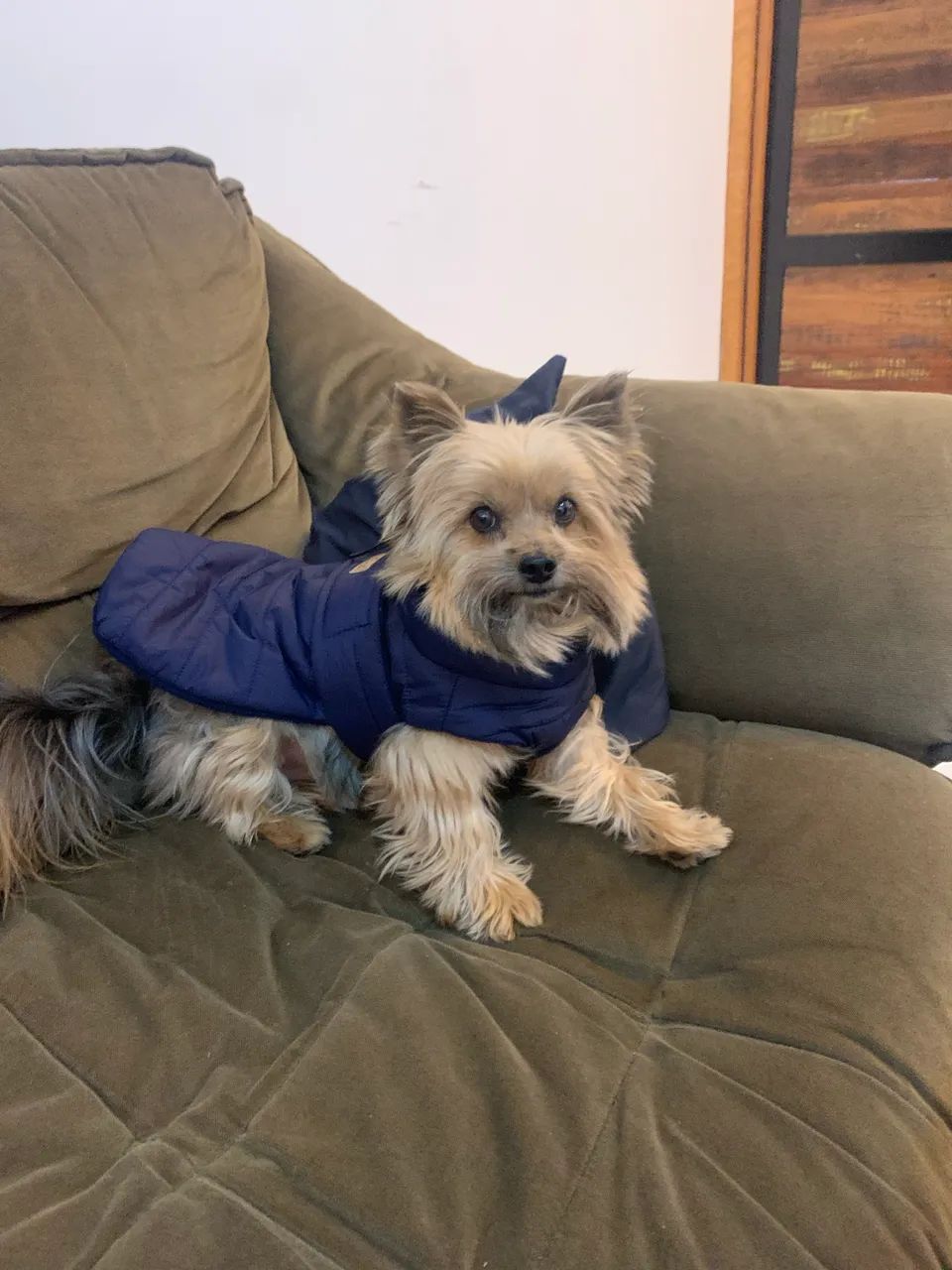 Procura namorada  - Foto 4