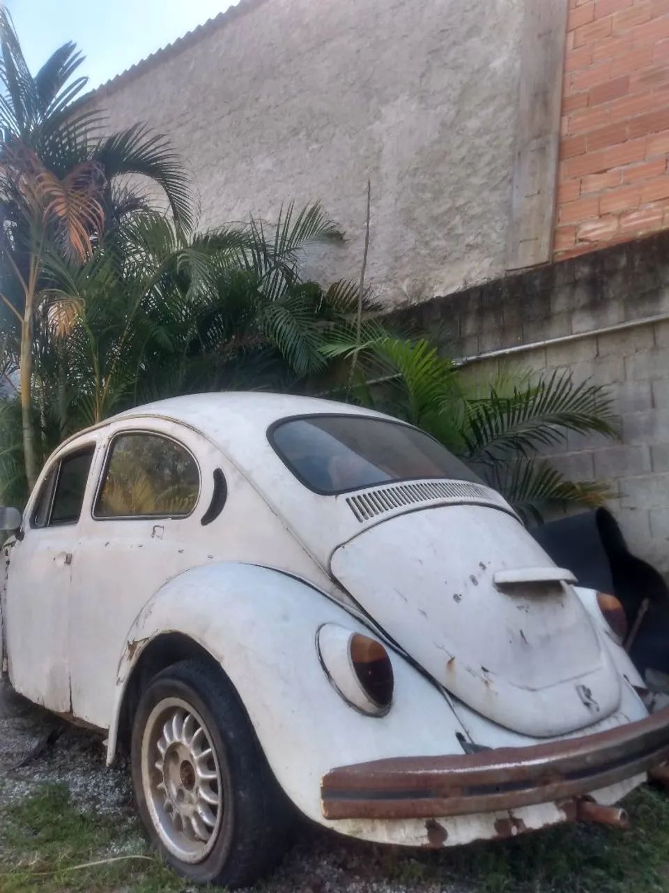 Rodas fusca - Foto 2