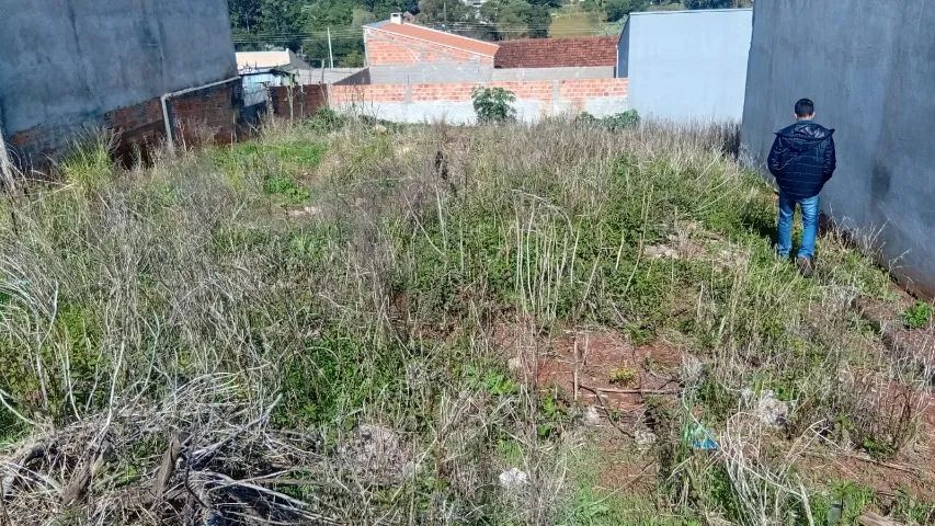 Terreno em Jd. Iraçy Faxinal/PR - Foto 3