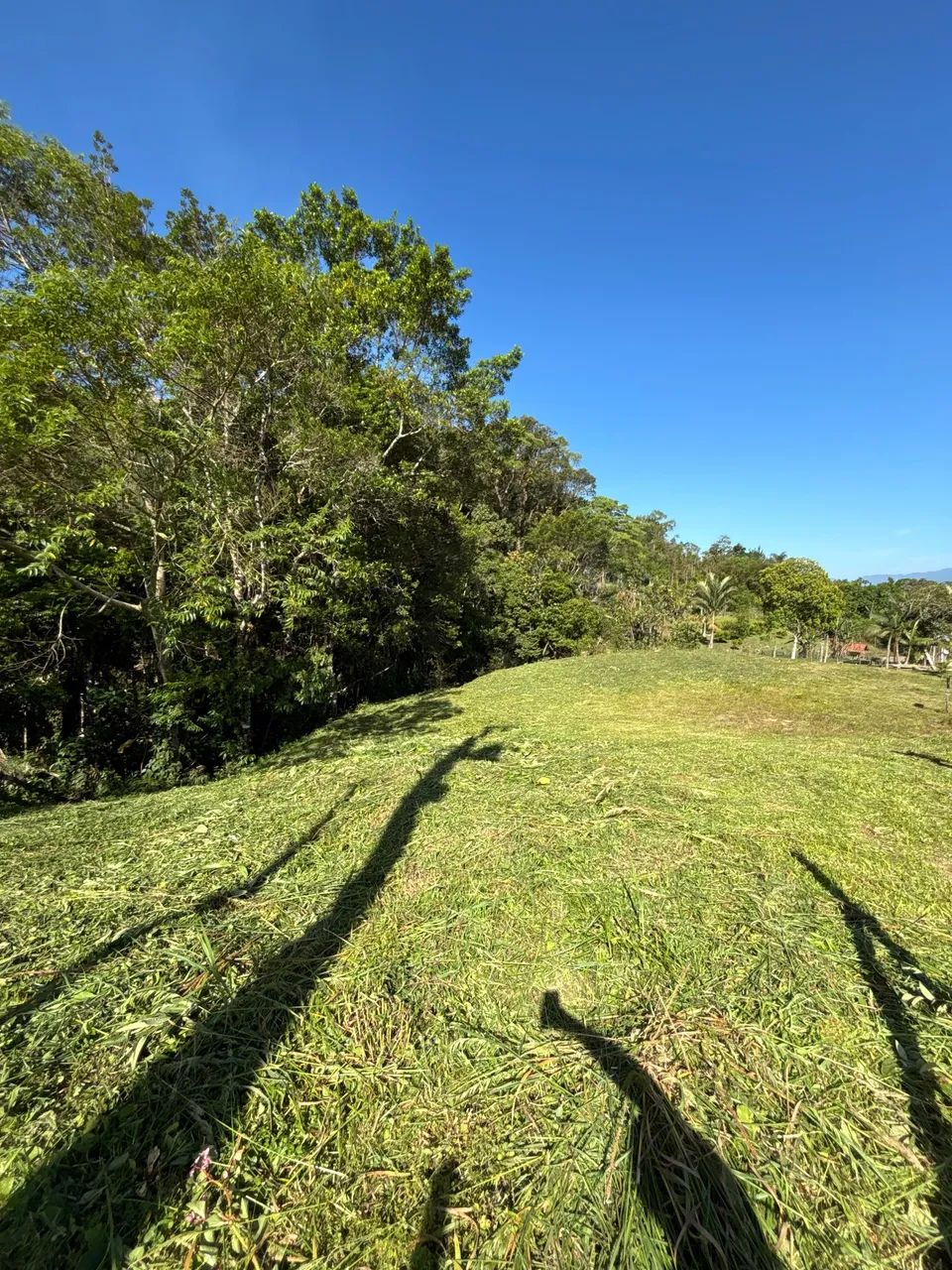 Terreno lindo águas mornas sc 2.400 mts  - Foto 3