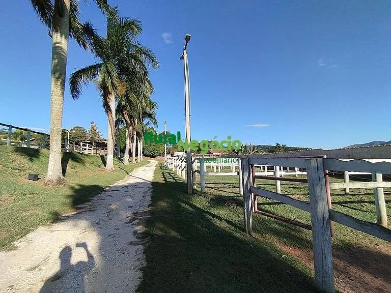 HARAS / SÍTIO FORMADO COM BELA ESTRUTURA EM TAUBATÉ-SP - Foto 3