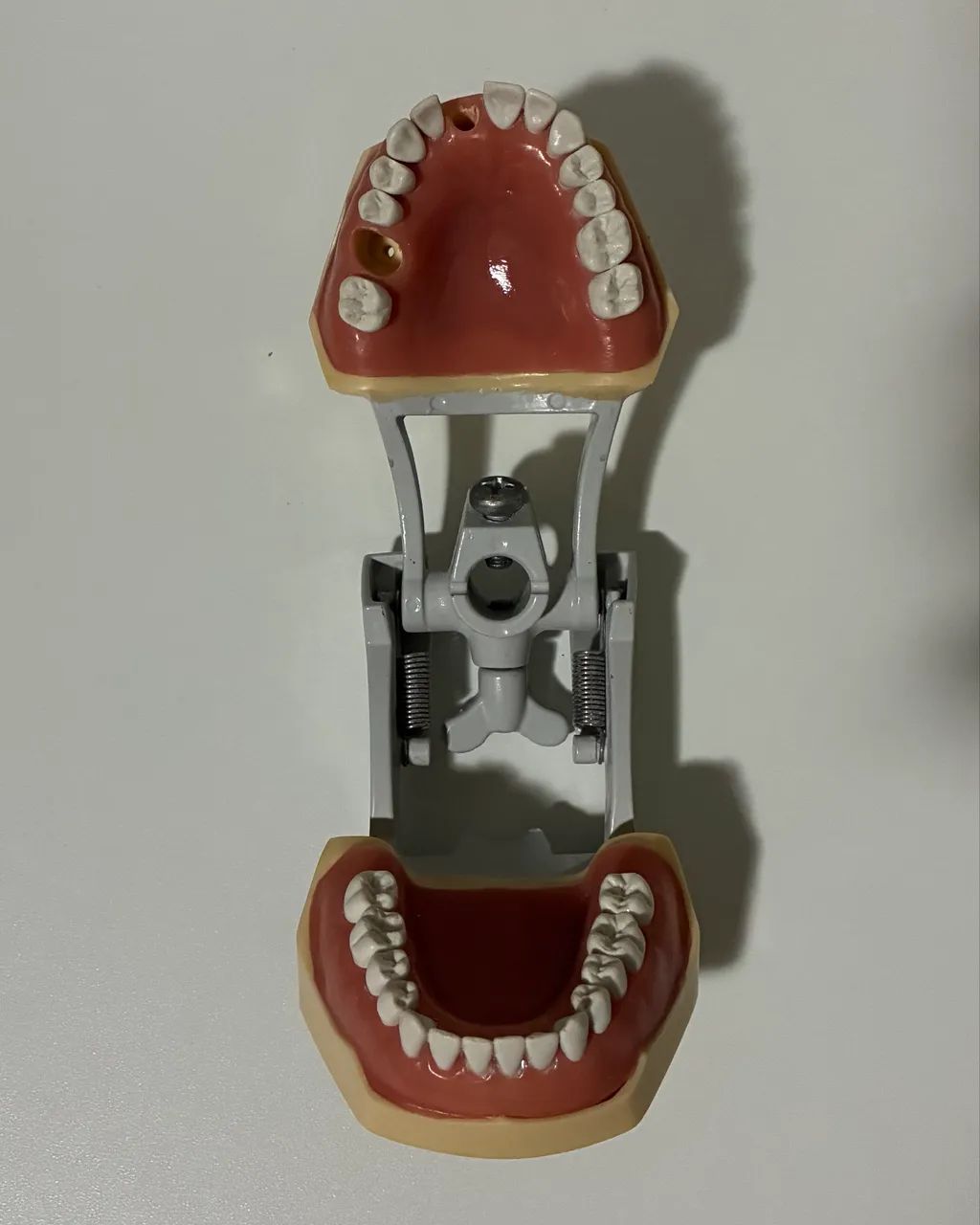Manequim de prótese fixa MOM código 3031 - Foto 5