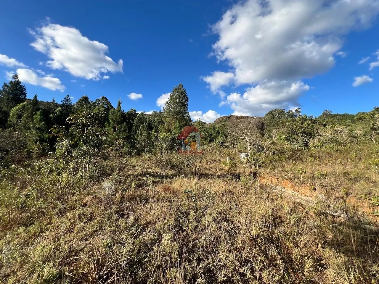 LOTE À VENDA COM PROJETO PARA CHALÉS RIO ACIMA - Foto 4