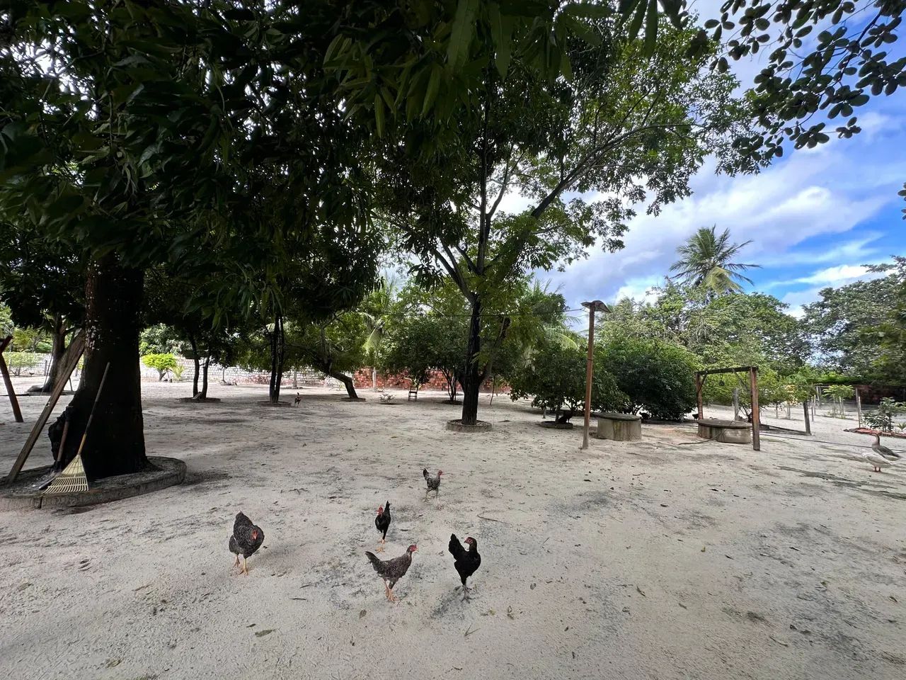 -  Sítio Cascavel: 8.872 m²  Murado  Acesso Fácil! - Foto 2