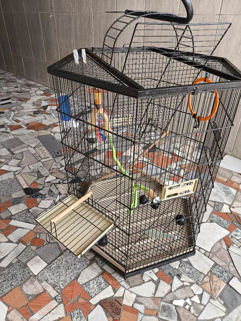 Viveiro para calopsita e papagaio