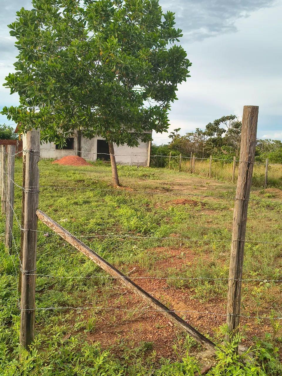 Terreno medindo 10 por 50 com uma casa - Foto 2