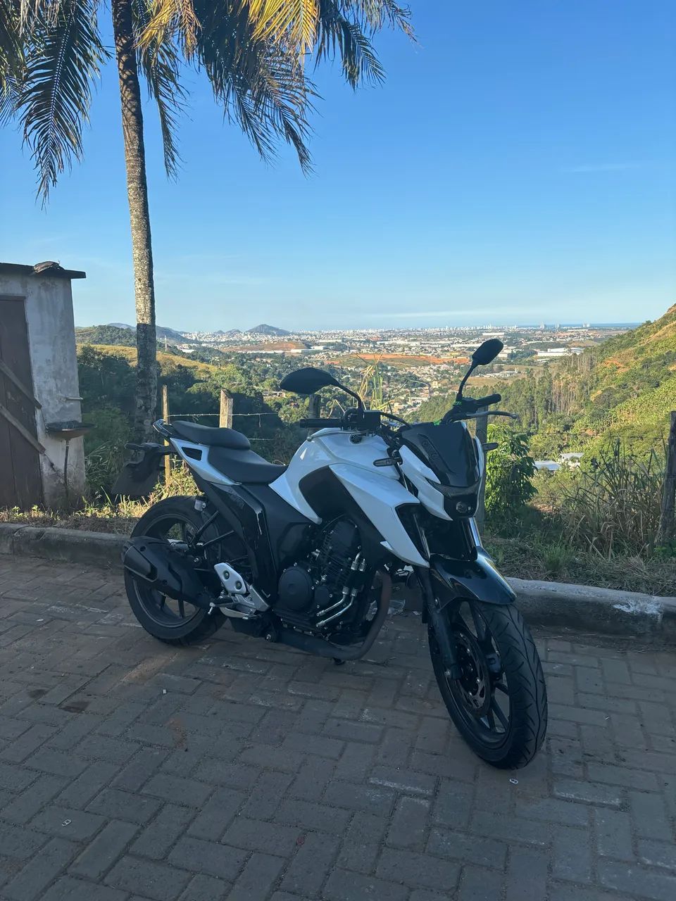 FZ25 2026