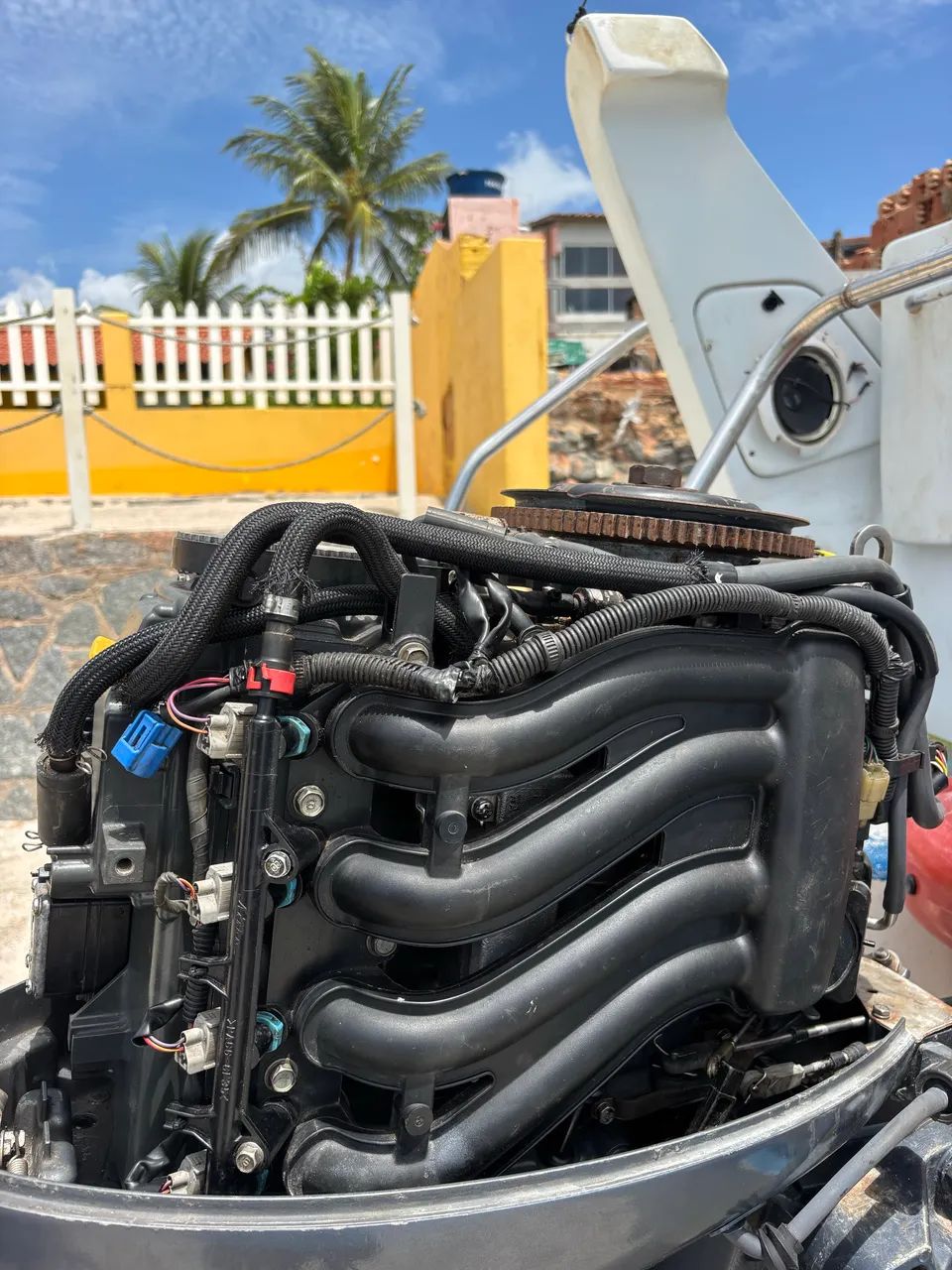 Lancha dourado  - Foto 4