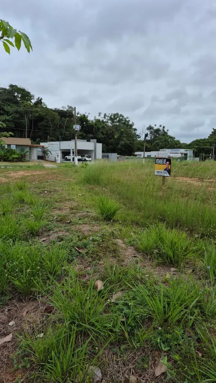 450m2 Terreno Bosque do Madeira - Foto 4