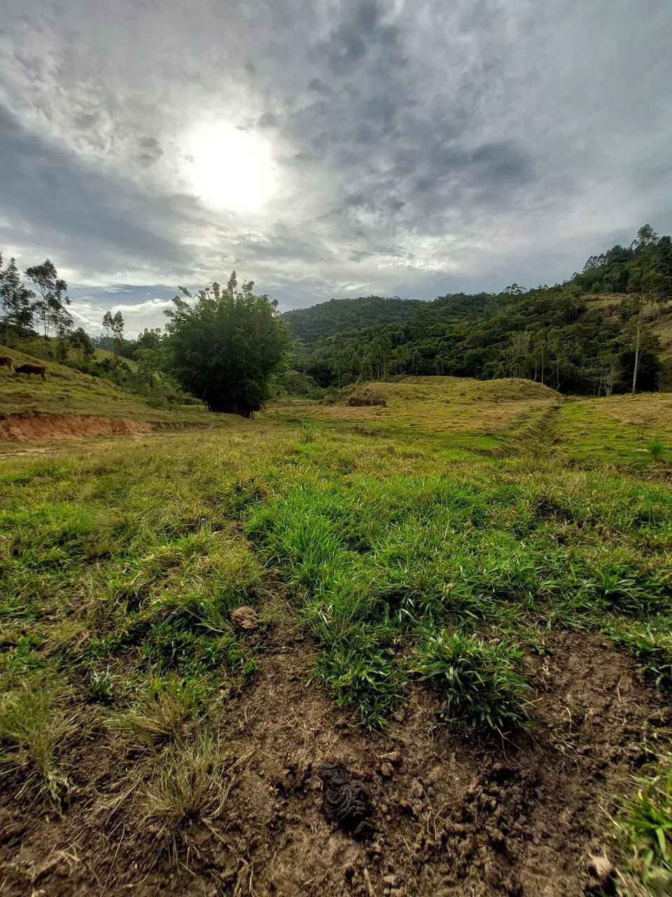 ?VENDE-SE TERRENO EM RIO DUNA -LARANJAL ?