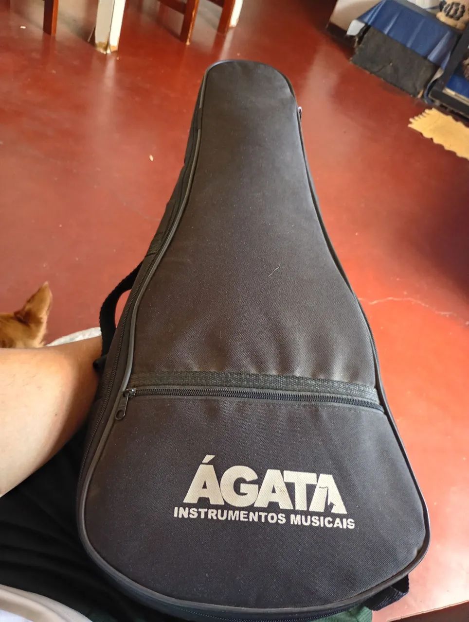 Cavaquinho  - Foto 4
