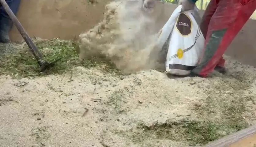 Silagem de capim com rolão de milho - Foto 2