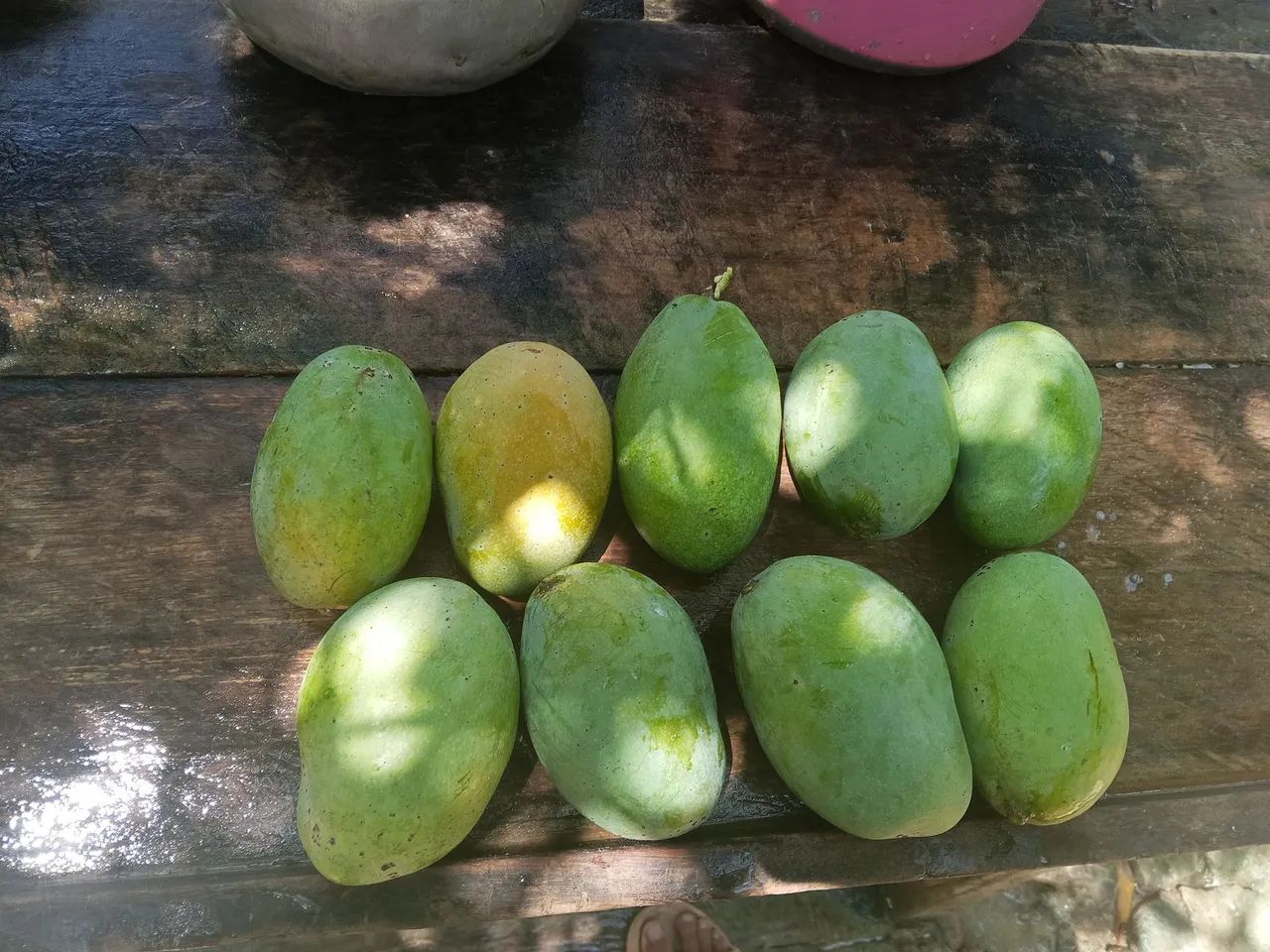 Mangás  - Foto 2