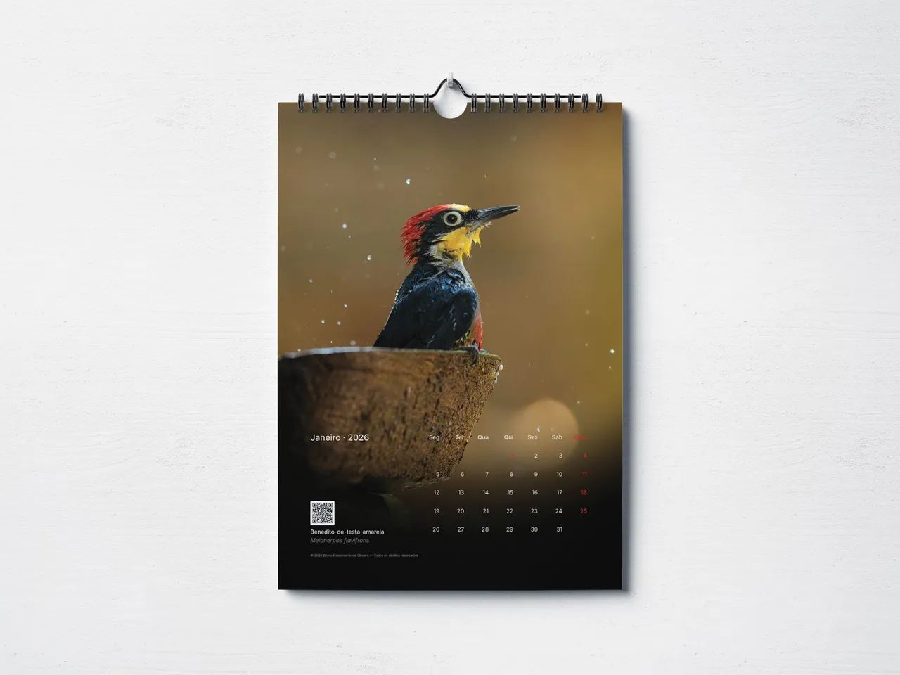 Calendário 2026 Cores da Mata Atlântica (tiragem limitada) - Foto 2