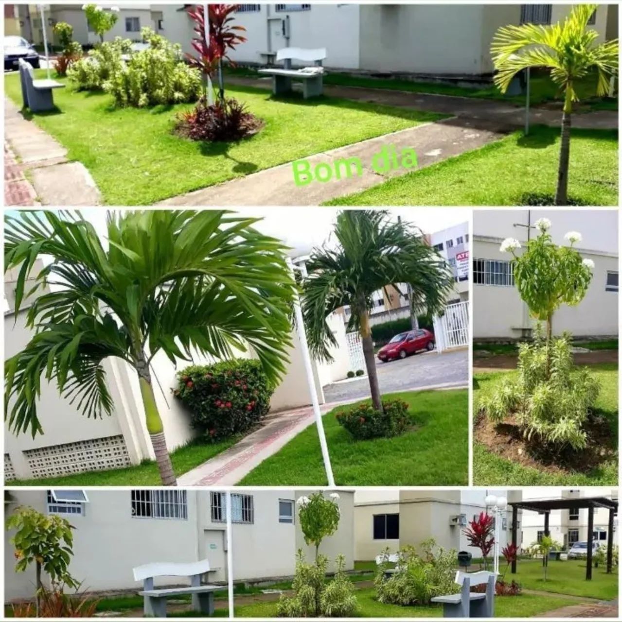 Apartamento térreo *condomínio incluso* - Foto 3