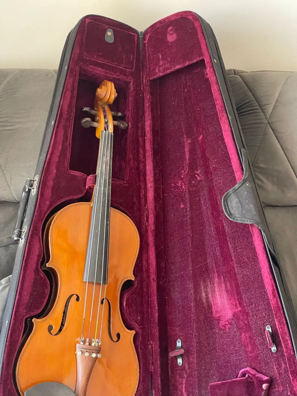 VIOLINO PLAYER  - Foto 2