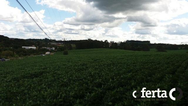 Terreno em Contenda 23.000 m2 na faixa de Comércio e Serviço - Foto 4