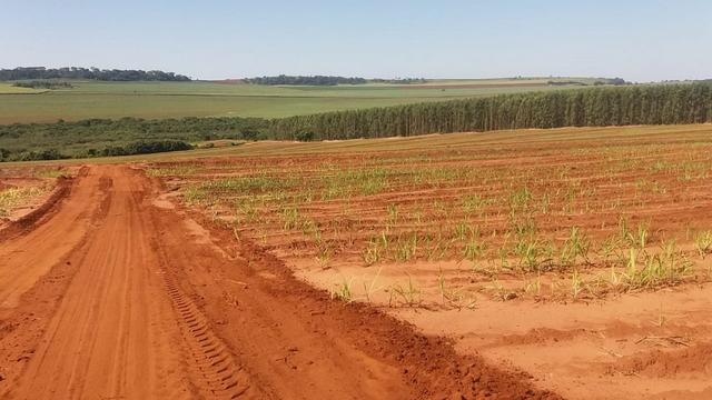 Fazenda 41 alqueires em Brodowisk 4.300.000.00 - Foto 8