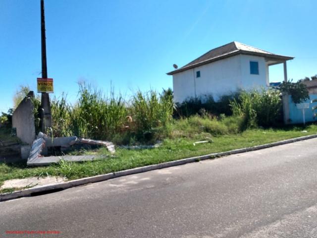 Excelente terreno todo murado com 450m² em área nobre, rua asfaltada, terreno com frente p - Foto 5