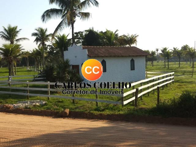 Go cód 138 Imperdível Promoção por Tempo Limitado!!!