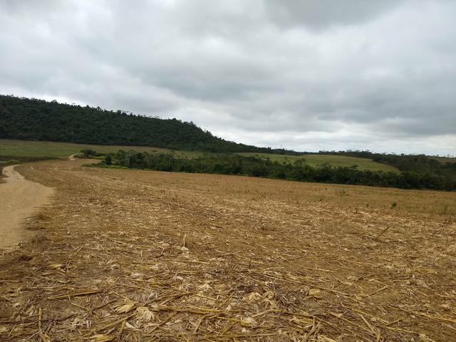 Fazenda em Dom Eliseu, 400 Alqueires, com 200 de soja. (soja ) - Foto 2