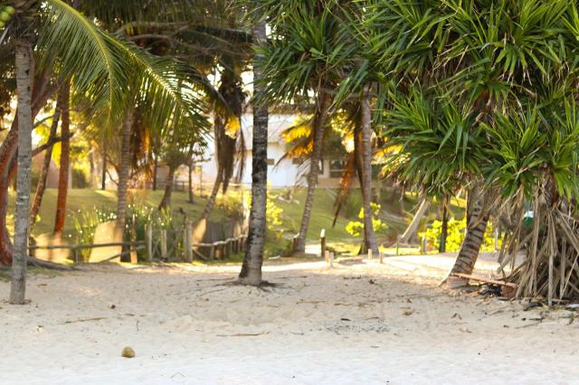 Chalé para alugar na praia de Guaratiba (Prado-BA) - Foto 16