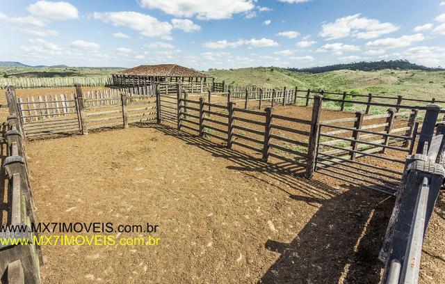 Fazenda pecuária de 6.400 Hectares. Capacidade pra 8.000 bois. - Foto 12