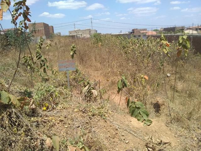 Vende-se terreno em toritama - Foto 2