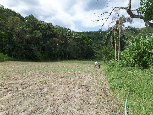 154 - Área de terra em Providência - Foto 4