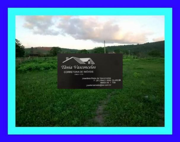 Fazenda Próximo Avencas por 15 mil ,cada Hectares ,Agende já sua Visita ! - Foto 4