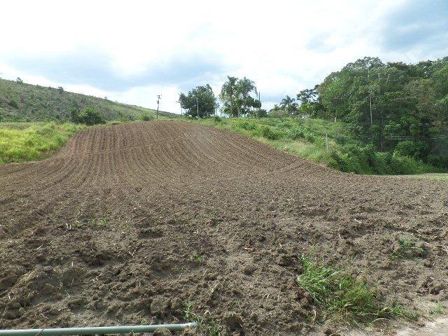 154 - Área de terra em Providência - Foto 12