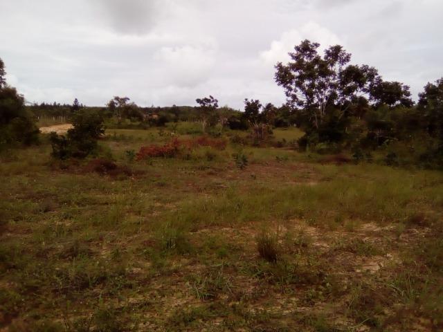 Oportunidade: Sítio na Linha Verde (Cidade do Conde) Próximo a Rios - Foto 4