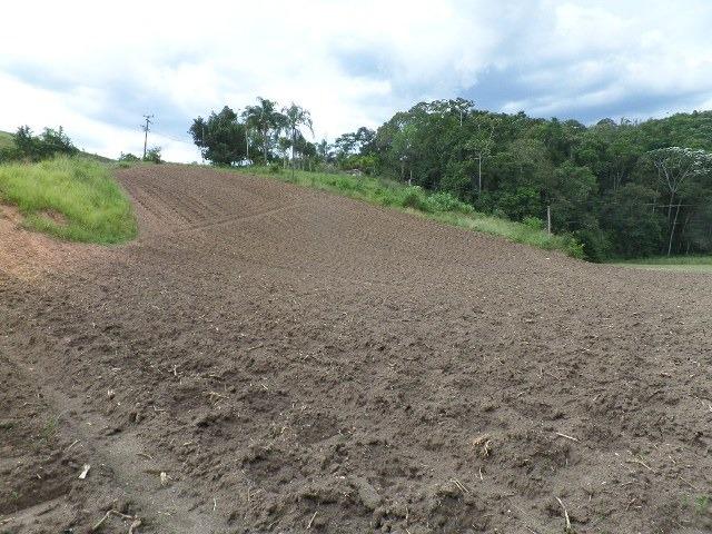 154 - Área de terra em Providência - Foto 19