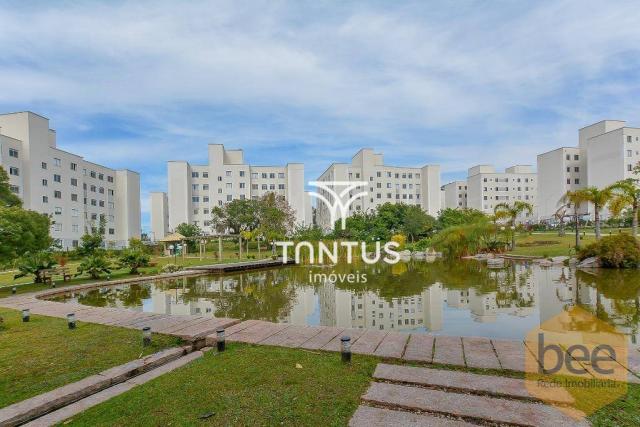 Apartamento com 2 dormitórios à venda, 50 m² por r$ 240.000 - pinheirinho - curitiba/pr - Foto 3