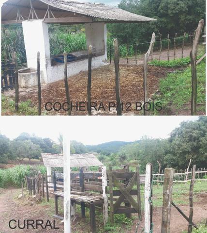 Sitio, Chácara - Foto 4