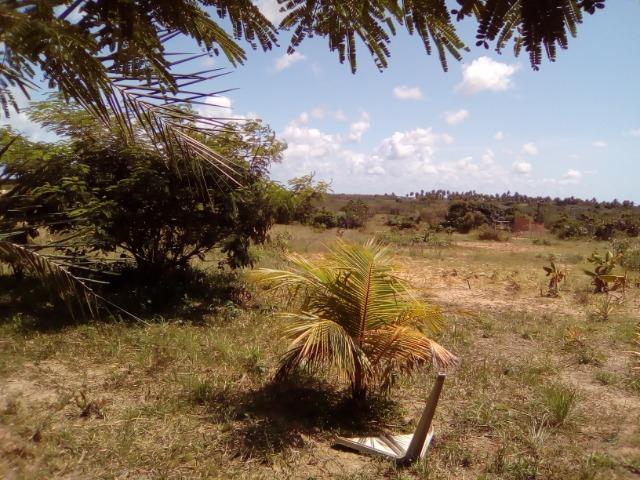 Oportunidade: Sítio na Linha Verde (Cidade do Conde) Próximo a Rios - Foto 2
