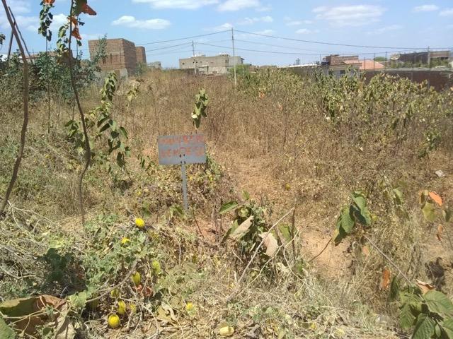 Vende-se terreno em toritama