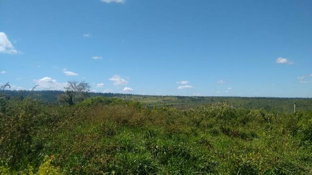 FAZENDA COM 1247 HECTARES / 800 hectares em pastagem abertas - Foto 4
