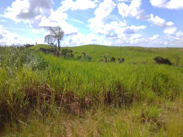 Terra 17 mil o alqueiro pra vender logo